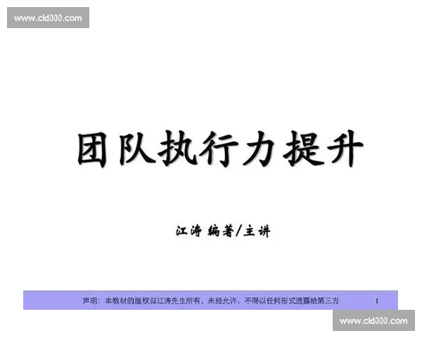 体育团队协作与策略优化提升整体执行力研究