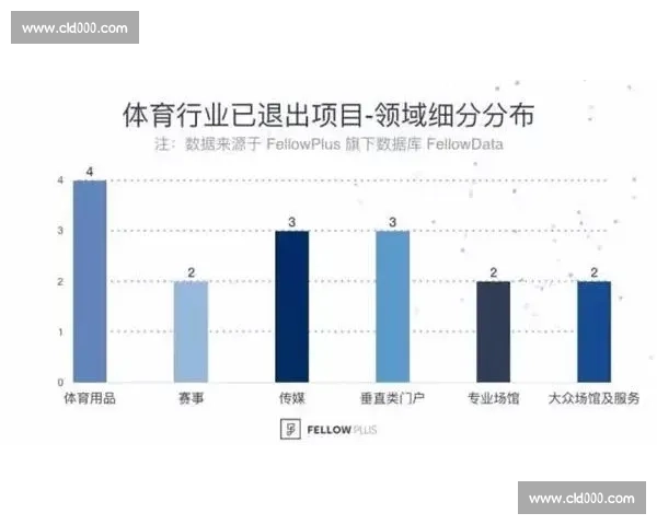 体育产业投资趋势解析与资本布局策略全面研究