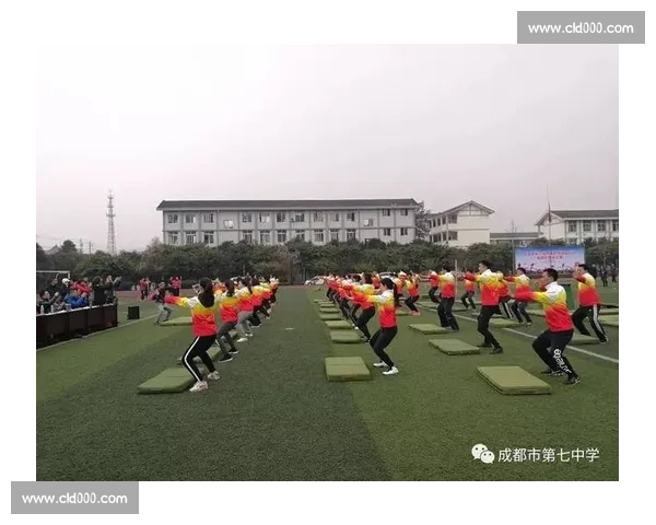 全面解析体育赛事组织管理与高效运营策略创新方案