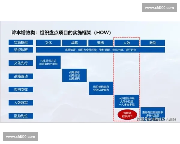 体育团队管理与绩效提升的系统化优化策略研究